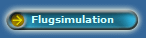 Flugsimulation